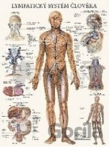 Lymfatický systém člověka (mapa)