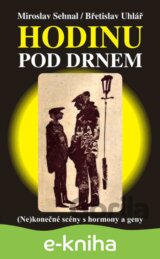 HODINU POD DRNEM