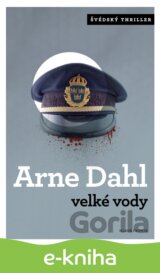 Velké vody