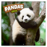 Poznámkový kalendár Pandas 2024