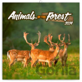 Poznámkový kalendár Animals of The Forest 2024