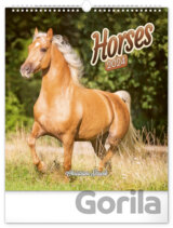 Nástěnný kalendář Horses 2024