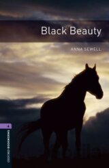 Library 4 - Black Beauty
