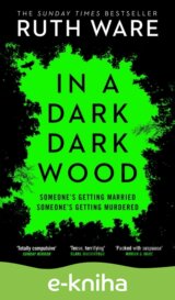 In a Dark, Dark Wood