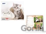 Stolní kalendář Mini Kočky 2024