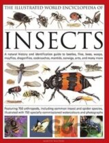 The Illustrated World Encyclopedia of Insects