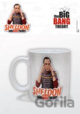 Big Bang Theory (Sheldon)