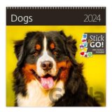 Kalendář nástěnný 2024 - Dogs
