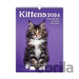 Kalendář nástěnný 2024 - Kittens/Katzenbabys/Koťátka/Mačičky
