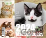 Kalendář 2024: Mazlivé kočky, stolní, týdenní