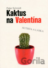 Kaktus na Valentína