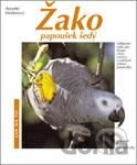 Žako - papoušek šedý