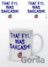 Big Bang Theory: That Fyi Was Sarcasm