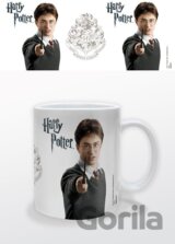 Harry Potter   