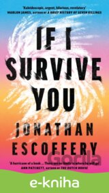 If I Survive You