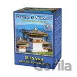 Slesaka