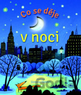 Co se děje v noci