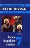 Lectio divina 7: Neděle liturgického mezidobí - cyklus C