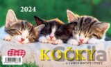 Kalendář stolní Kočky 2024