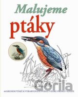 Malujeme ptáky
