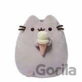 Pusheen so zmrzlinou