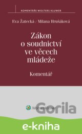 Zákon o soudnictví ve věcech mládeže. Komentář