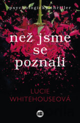 Než jsme se poznali