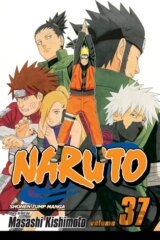 Naruto, Vol. 37: Shikamaru's Battle