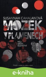 Mozek v plamenech
