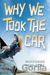 Why We Took the Car