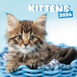Oficiálny nástenný kalendár 2024 16 mesiacov Simon K. & Greg C.: Mačky