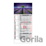 Štandard 3-mesačný kombinovaný nástenný kalendár 2024 - fialové pole