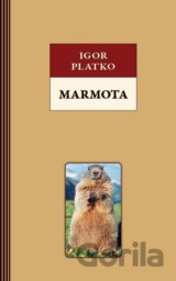 Marmota