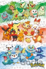Plagát Pokémon: First Partners