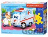Ambulance Doctor