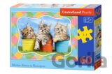 Siberian Kittens in Flowerpots