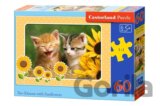 Two Kittens with Sunflowers