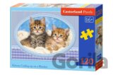 Kittens Curling up on a Blanket