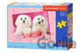Two Doggies in Pink