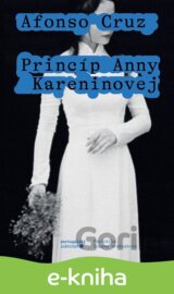 Princíp Anny Kareninovej