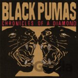 Black Pumas: Chronicles of a Diamond LP