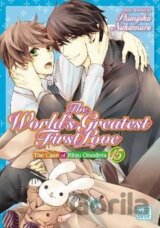 The World´s Greatest First Love, Vol. 15