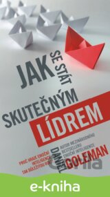 Jak se stát skutečným lídrem