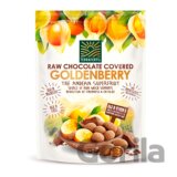 Sušené Goldenberry (Physalis) v raw čokoláde