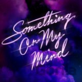 Purple Disco Machine: Something On My Mind 12" LP