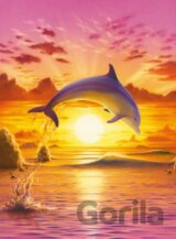 Sunset dolphin