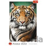 Trefl Puzzle 1500 - Portrét tigra / ADOBE STOCK_L