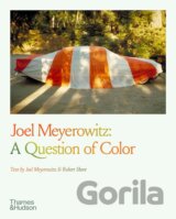 Joel Meyerowitz: A Question of Colour