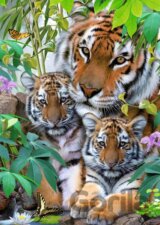Tigria rodina