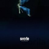 SUEDE NIGHT THOUGHTS